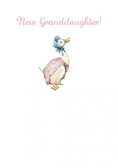 Beatrix Potter New Granddaughter Greeting Card